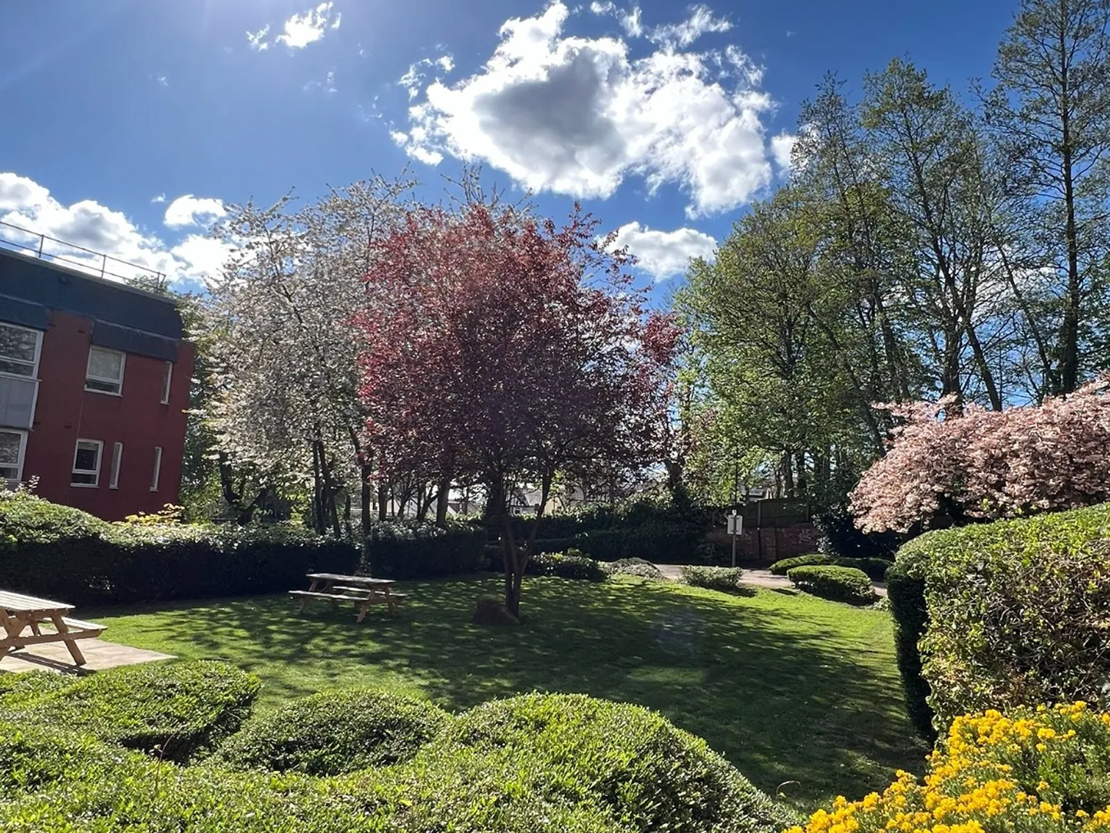 WhatsApp Image 2025-12-17 at 2.49.42 PM